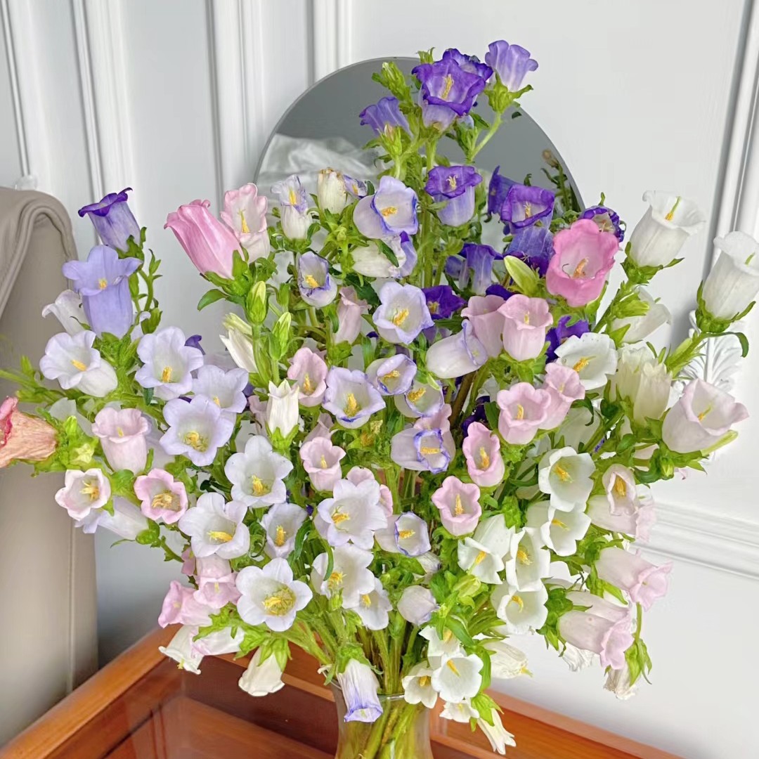 【香羿鲜花】风铃颜色随机（可以备注）