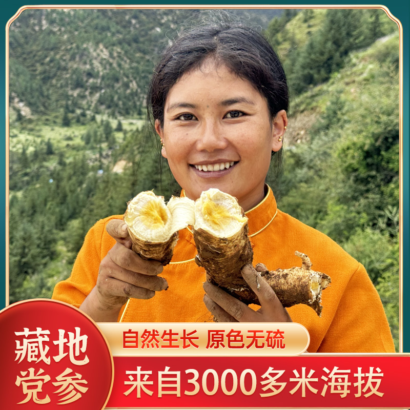 藏地纯野党参高海拔自然生长非甘肃非种植100克