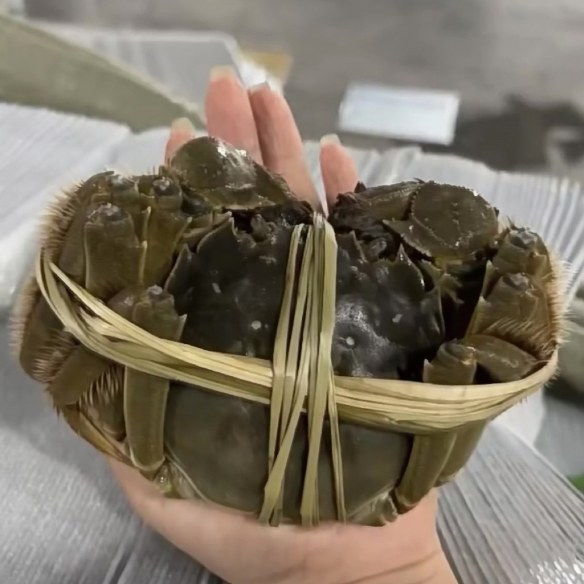 马上闪走【顶瓜瓜精品2两以上】太湖大闸蟹鲜活90%硬黄  保鲜保活