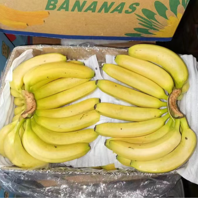 【整把】越南进口大把香蕉3.5-4.5斤一把