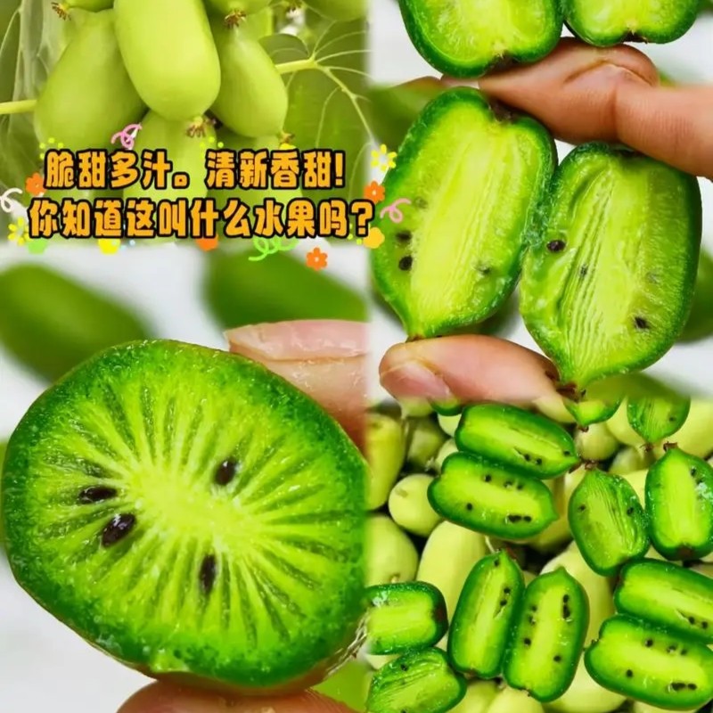 软枣猕猴桃（丹港农夫奇异莓）