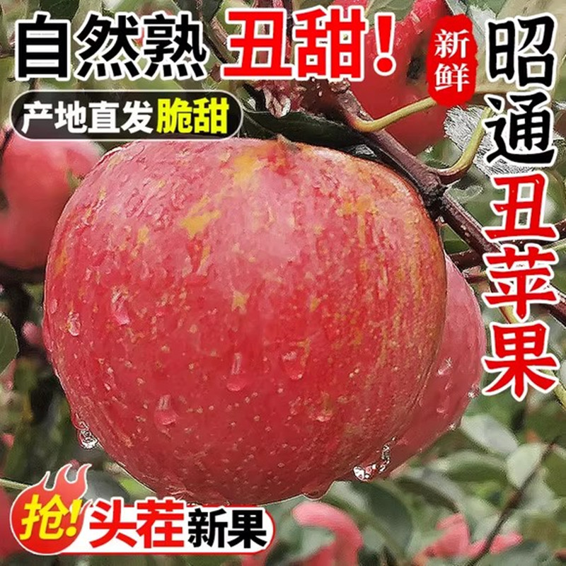 【君君】云南昭通丑苹果冰糖心苹果水果新高山苹果正宗营养原生态