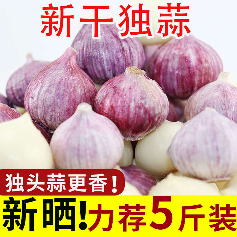 【君君】干蒜头新货2022年紫皮独蒜独头大大蒜独头蒜新鲜饱满肉厚