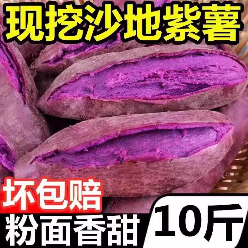 【君君】23紫薯粉懦香甜当季新鲜现挖沙地紫新鲜紫薯红薯低脂包赔