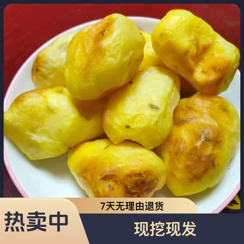 贵州（老品种）好吃米拉洋芋→放心选购《坏果包乌》马铃薯种植基地