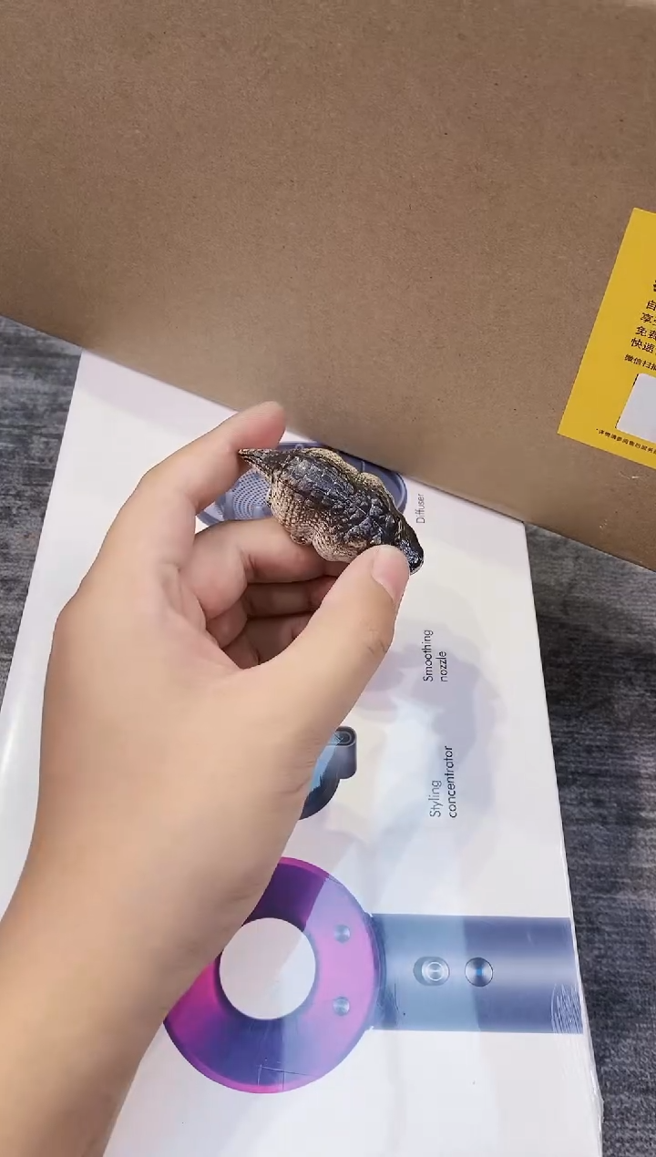 【闪购商品】瓷片都是我的大宝贝儿瓷器
