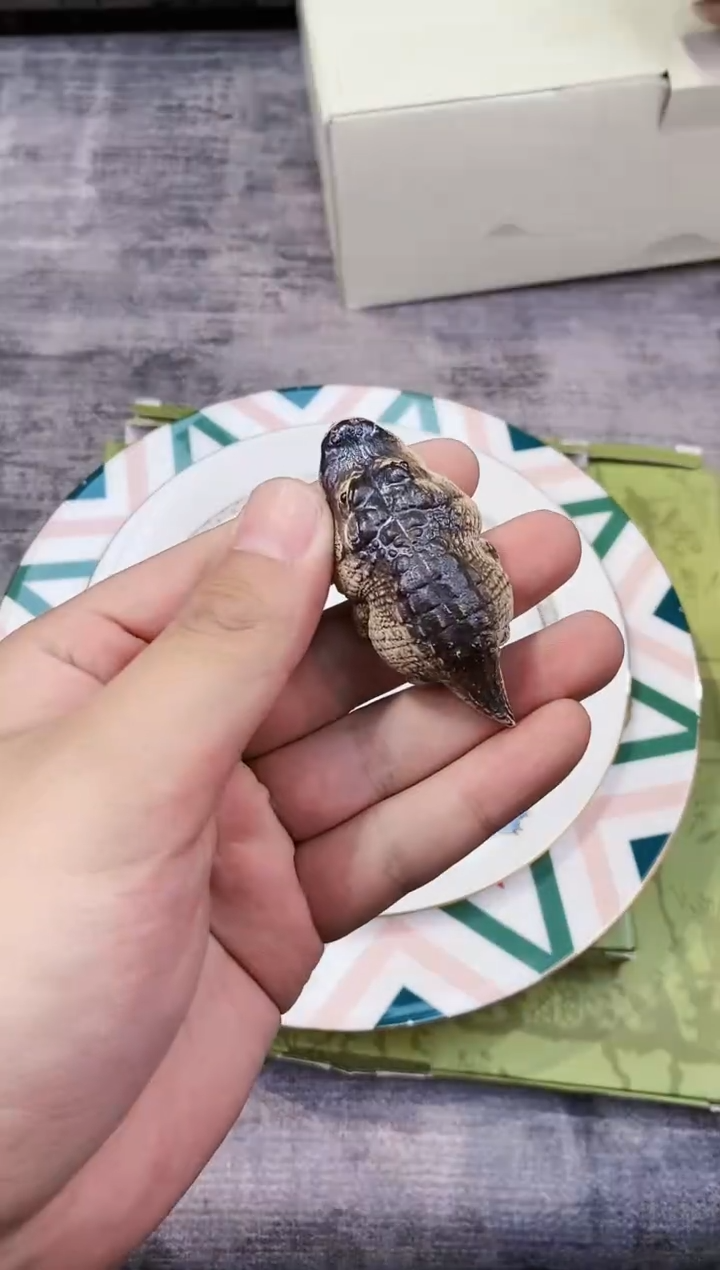 【闪购商品】瓷片都是我的大宝贝儿瓷器