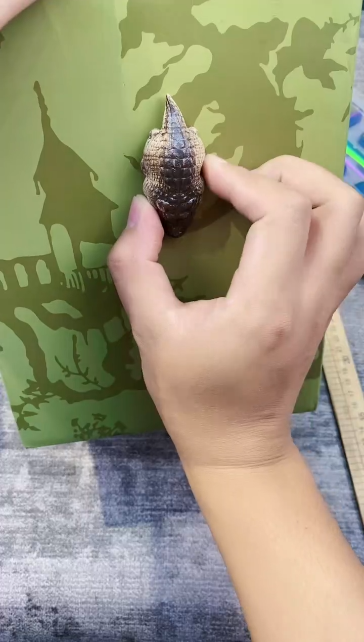 【闪购商品】瓷片都是我的大宝贝儿瓷器壶