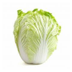大白菜1个(2-3斤)白菜