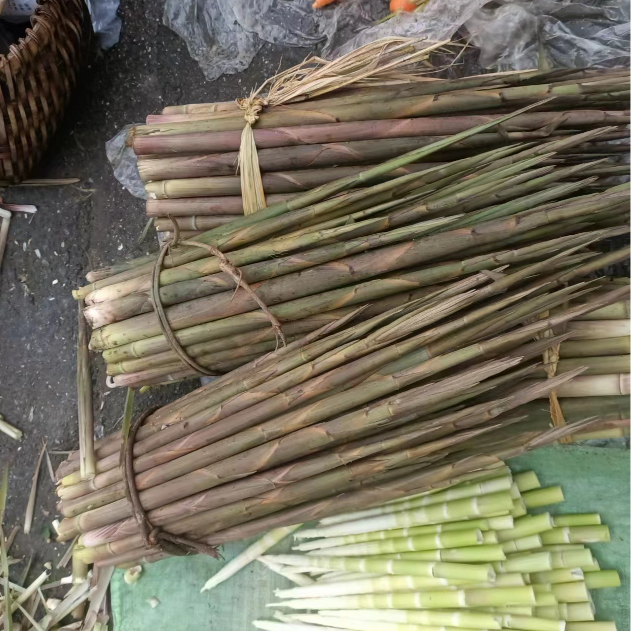 剥壳粤北新鲜甜笋野山笋甜笋小春笋小竹笋新鲜笋子粤北新鲜小竹笋