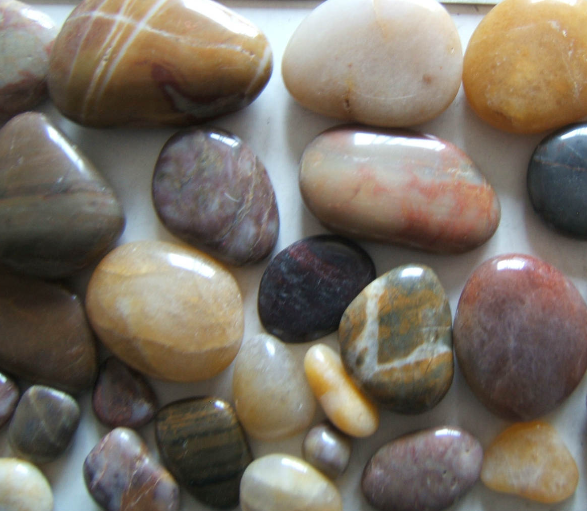 天然盆景石（，多样性）