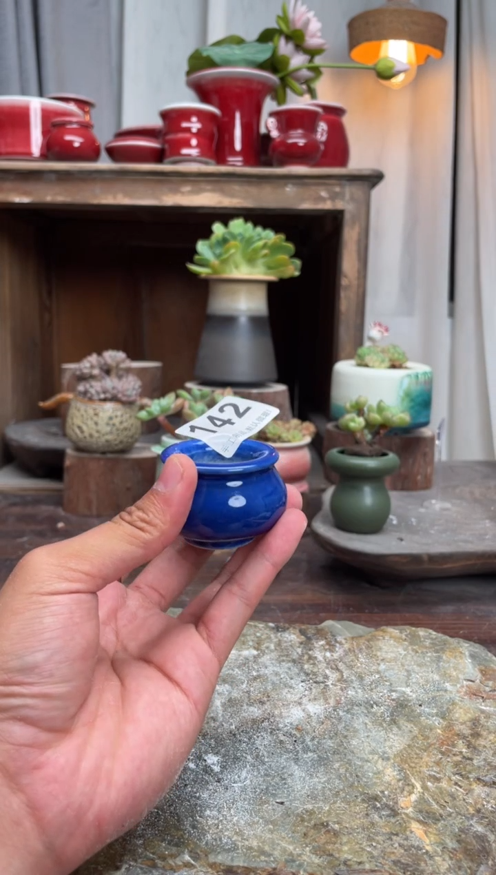 【闪购商品】摆件142小芳直播编号