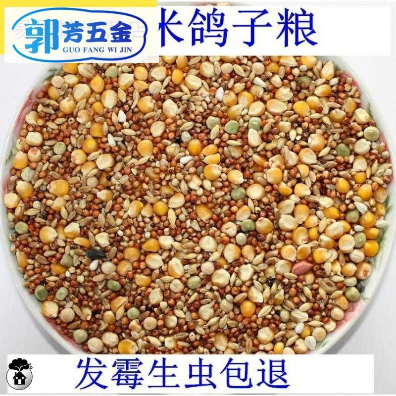 10斤装有玉米鸽粮赛飞营养饲料鸟食信鸽观赏鸽肉鸽粮鸽子食包邮m