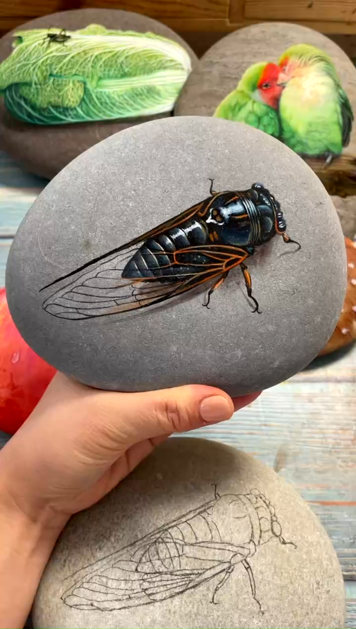 【闪购商品】绘画蝉 支架