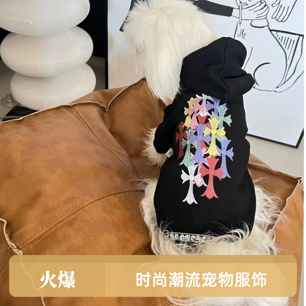 宠物卫衣冬季保暖防感冒打底时尚可爱猫咪衣服无毛猫德文同款衣服