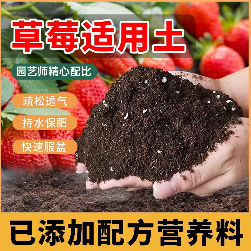 草莓种植土专用营养土盆栽阳台栽培养花泥土通用有机土肥料育苗土