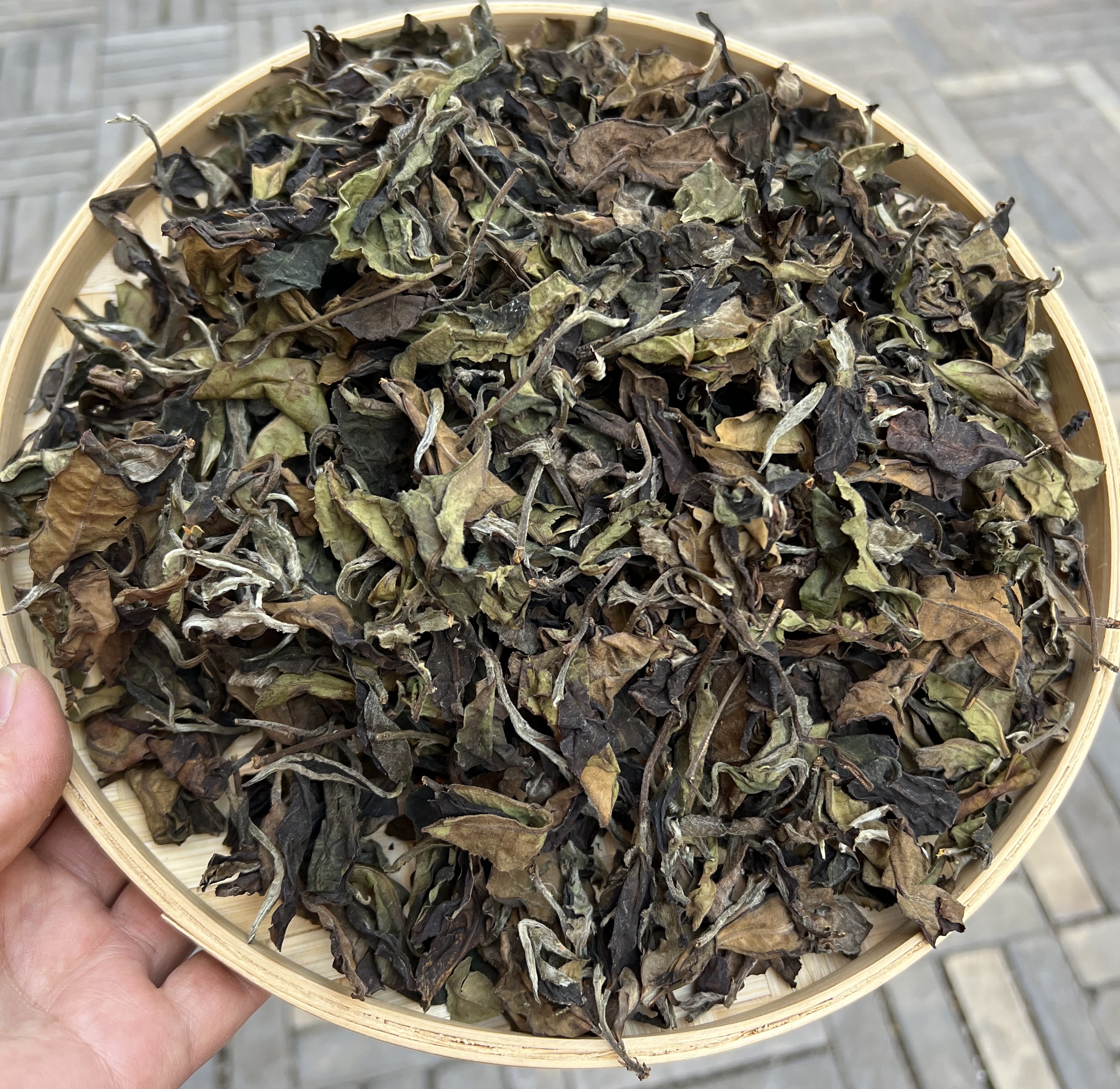 云南白茶     迷帝白茶   2022年     500克/袋