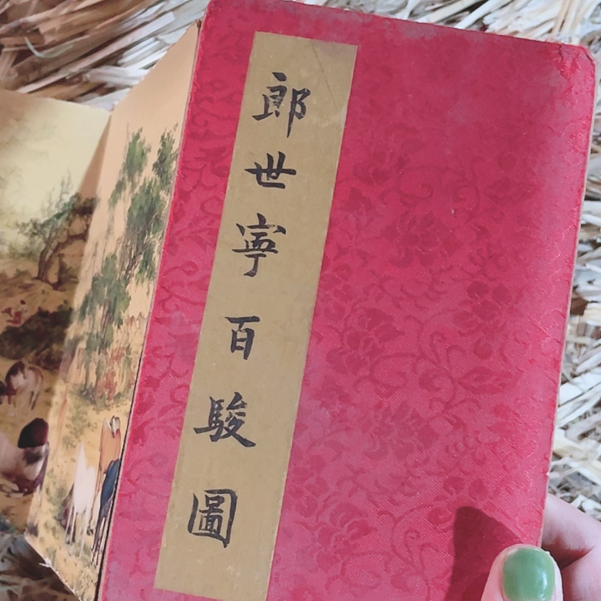 【闪购商品】书法山水