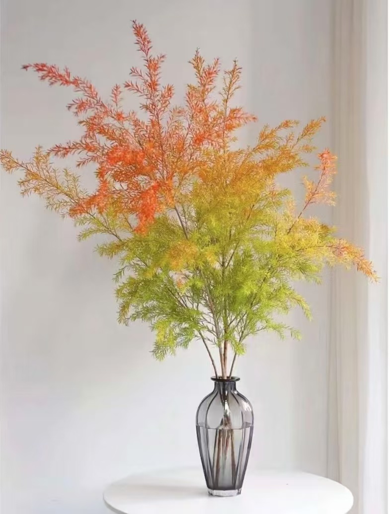 【千层金】自带香味 丨 高品质花材丨自带氛围感花材丨基地直发LL