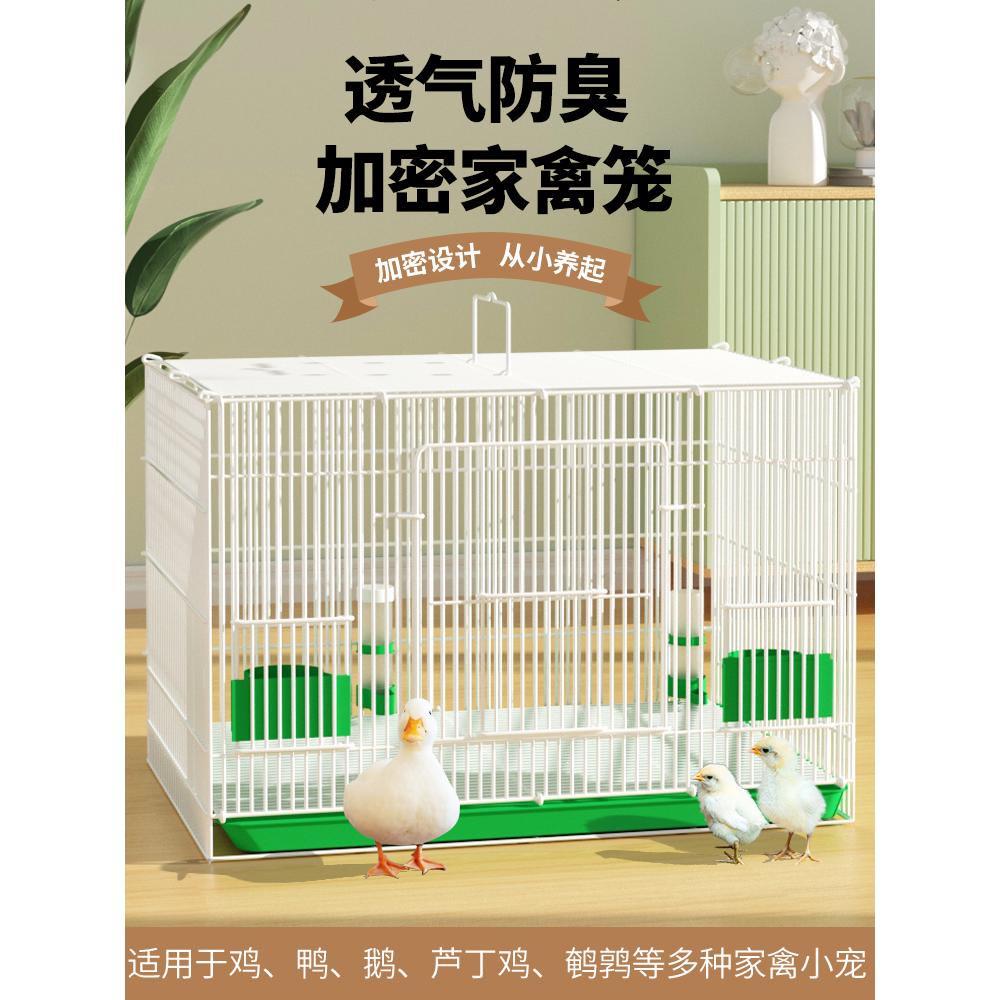 大号加密家养鸡笼子家用小鸡笼芦丁鸡饲养箱鹌鹑室内鸭笼自动清粪