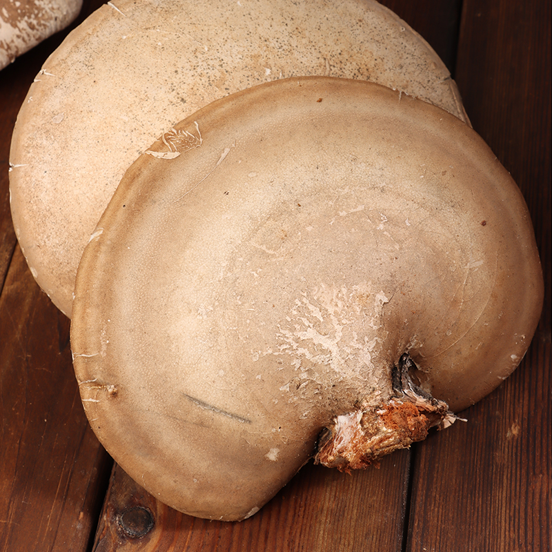 黑龙江东北白灵菇500克