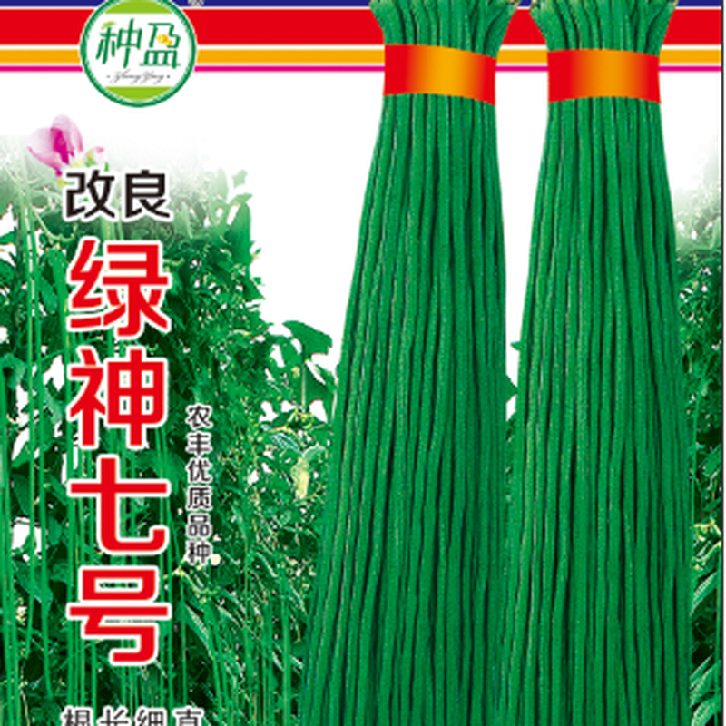 主播精选绿神七号豆角种子