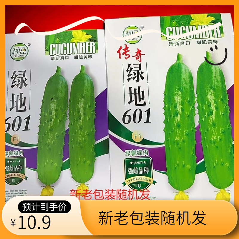 种盈绿地601黄瓜种子，新老包装随机发
