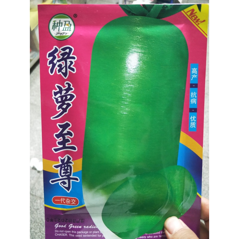 种盈绿萝至尊萝卜种子