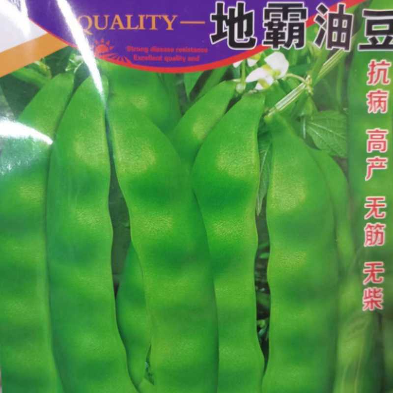 种盈地霸油豆豆角种子新老包装随机发‘