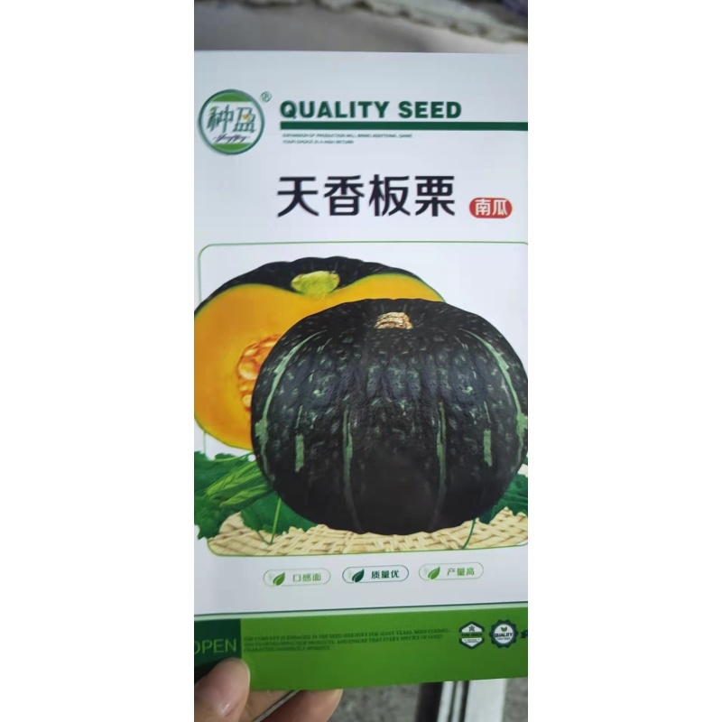 种盈天香板栗种盈天香板栗