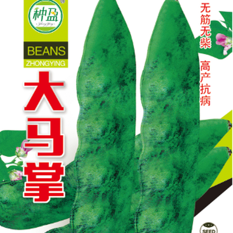 种盈大马掌豆角种子