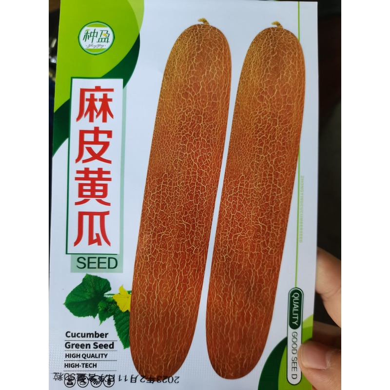 种盈麻皮老黄瓜种子