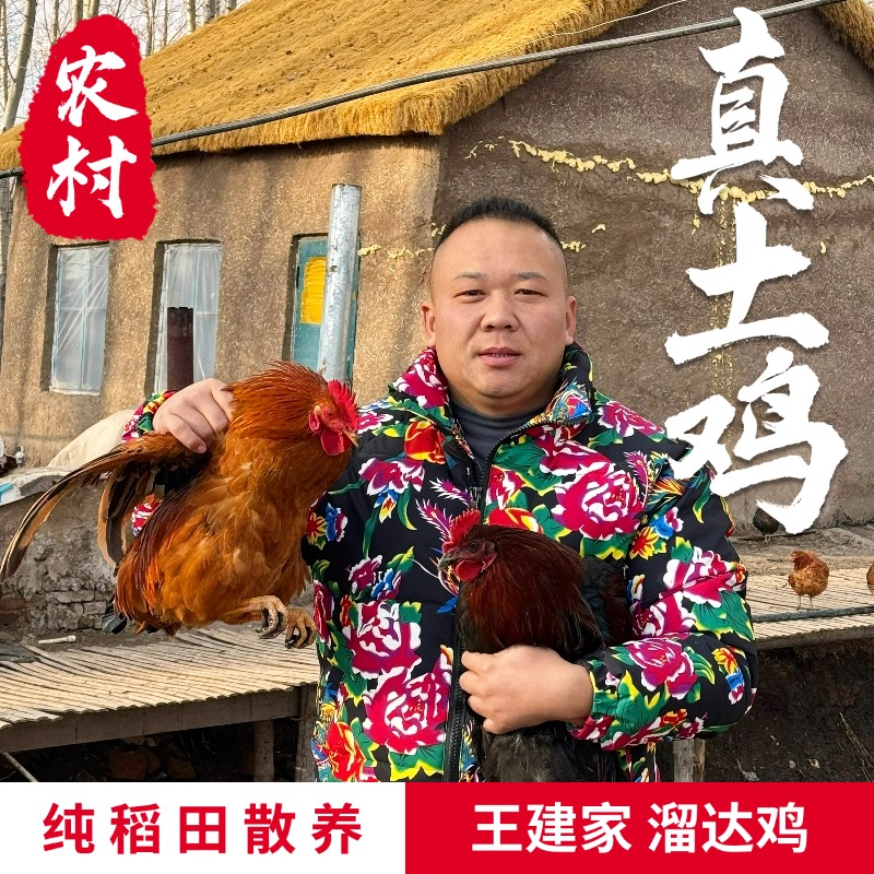 【王建家】正宗散养溜达鸡（不净膛） 包冰率10%以内