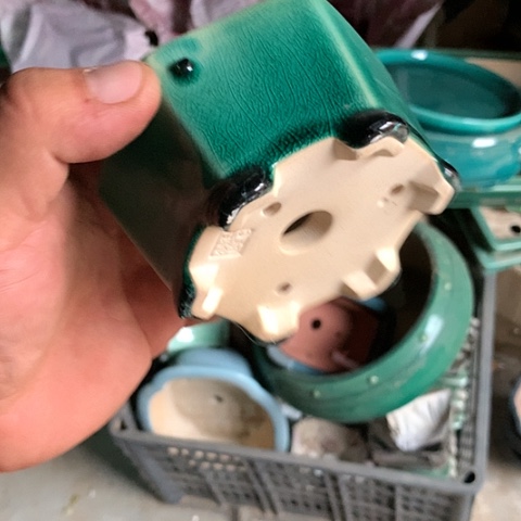 紫砂哈哈真的超级棒