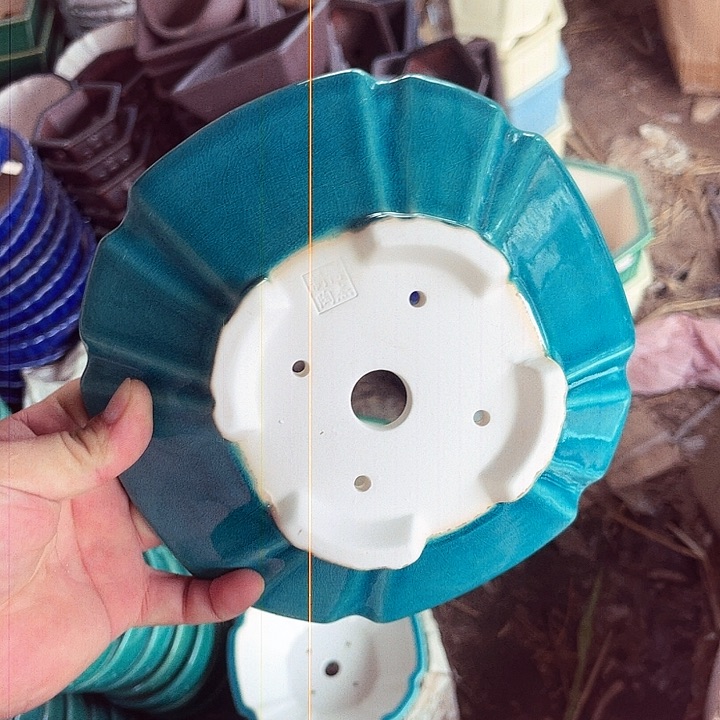 紫砂20CM（含）-50CM（不含）
