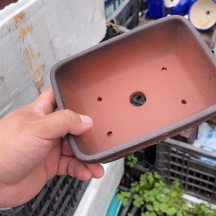 紫砂20CM（含）-50CM（不含）