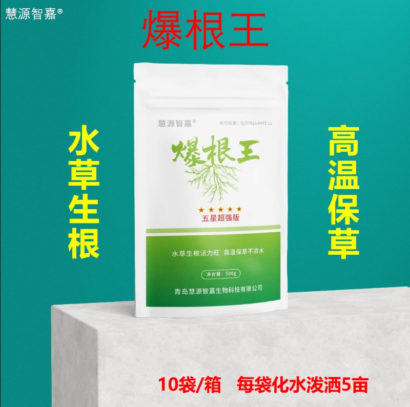 爆根王水草生根高温保草
