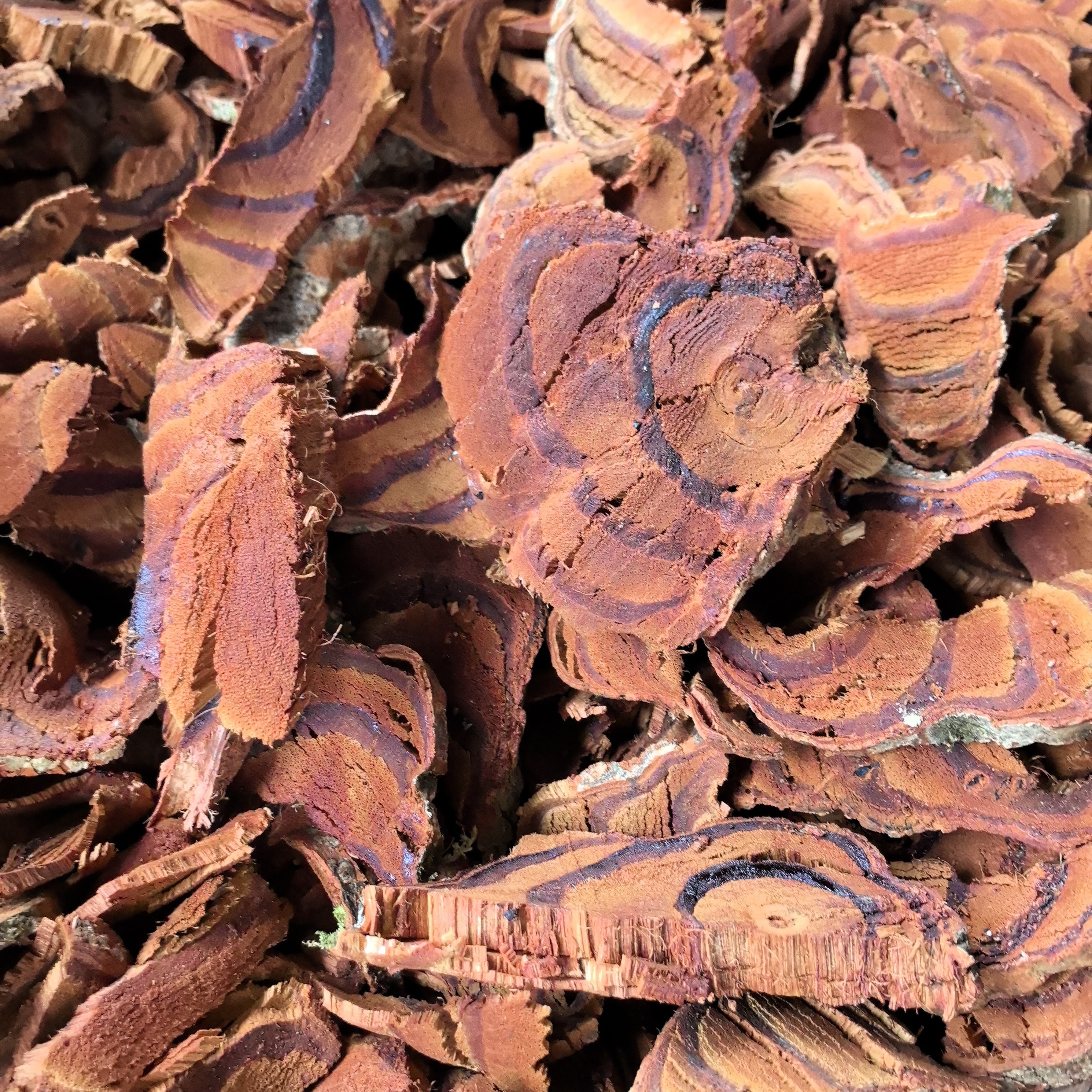 ༺鸡血藤༻ 优质干片