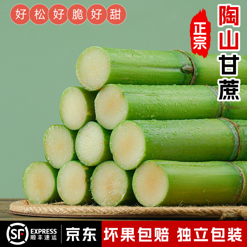 陶山甘蔗新鲜绿皮甘蔗  果蔗无水裂 当季青皮甘蔗3-5斤 精品甘蔗