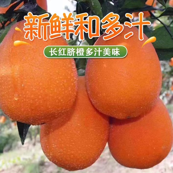 秭归正宗长红果大皮薄汁多香甜大人小孩都爱吃橙子正宗脐橙脐橙