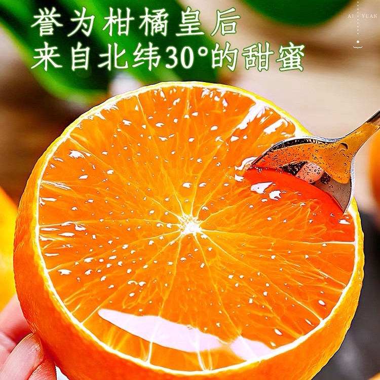 正宗秭归爱媛38号果冻橙新鲜现摘应季水果爆甜多汁