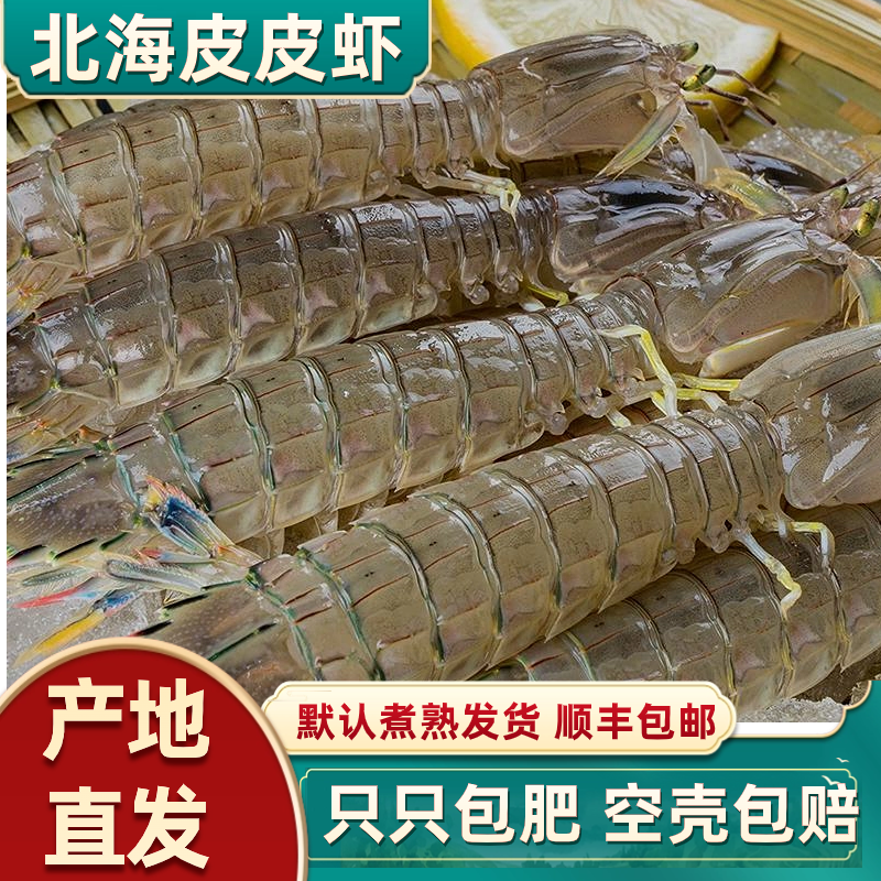 北海皮皮虾鲜活蒸熟冷冻海鲜水产海虾新鲜虾琵琶虾爬子特大濑尿虾
