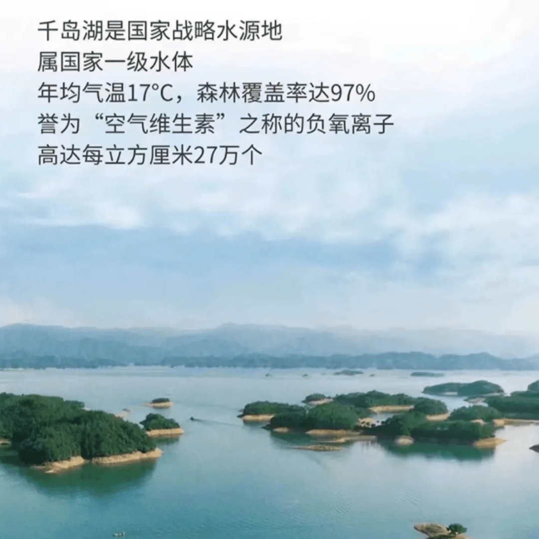 胖东来超市DL小麦饮品330ml 500ml 自营精心酿造包邮