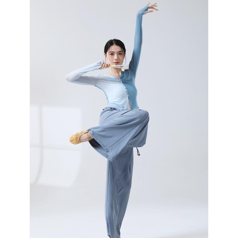 现舞舞蹈练功服身韵形体长袖上衣拼色古典舞纱衣飘逸演出服装女
