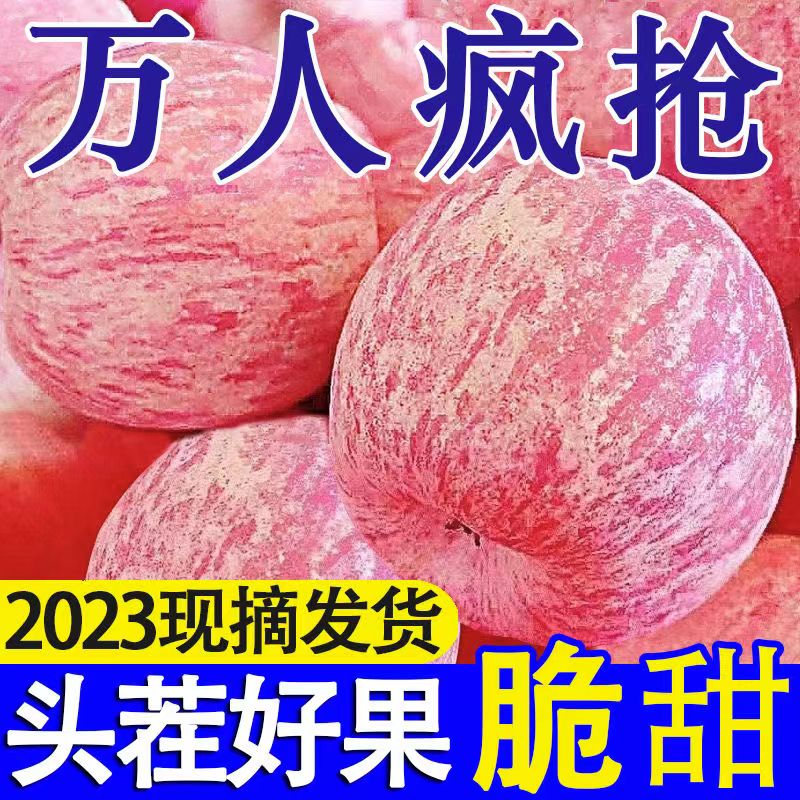 【抢购中】正宗山东烟台栖霞红富士苹果应季水果新鲜2/5/10斤甜脆