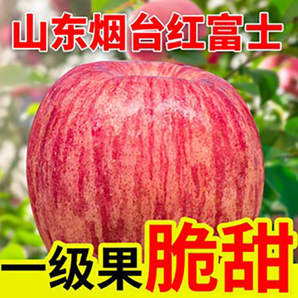正宗山东烟台红富士苹果 营养脆甜新鲜应季水果2/5/10斤带箱发货