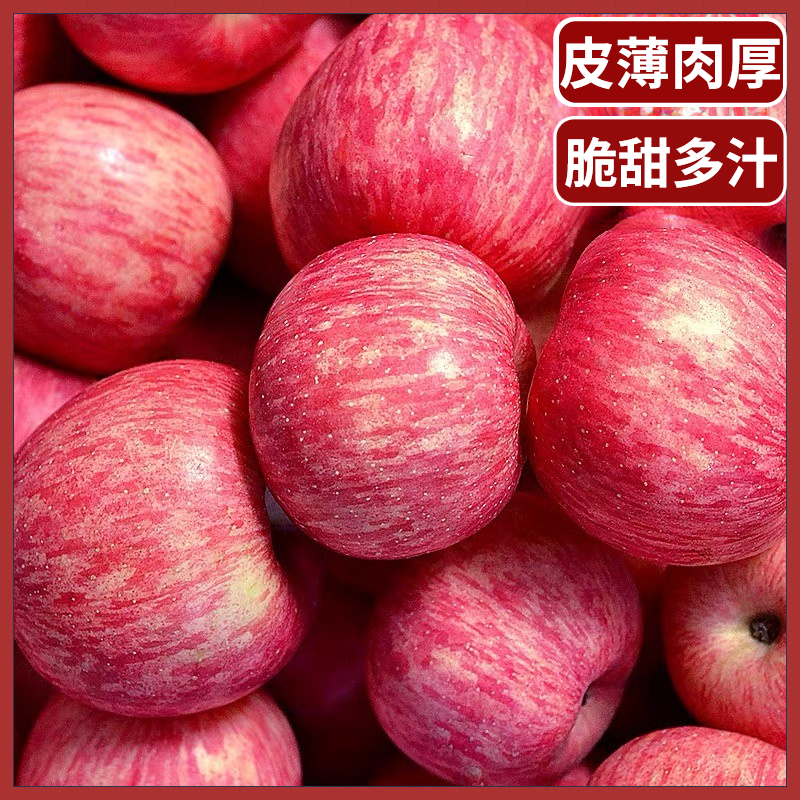 正宗陕西洛川新鲜红富士苹果应季水果新鲜2/5/10斤脆甜原产地供应