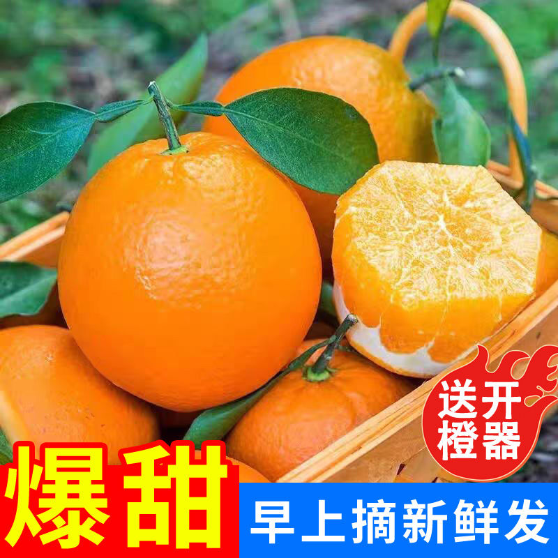 赣南脐橙信丰基地直发现摘现发新鲜带叶顺丰快递