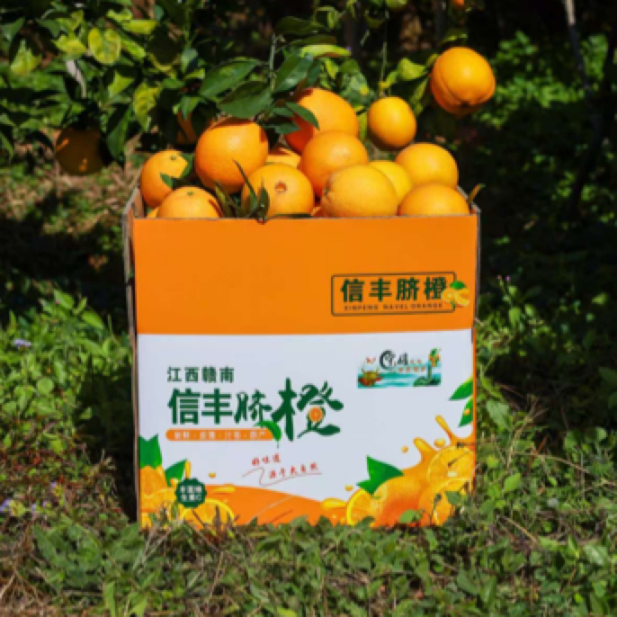 赣州赣南脐橙圣德宝农业合作社10-20斤单果70-75