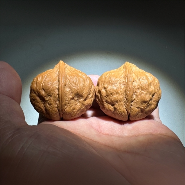 香炉元宝尺寸38左右